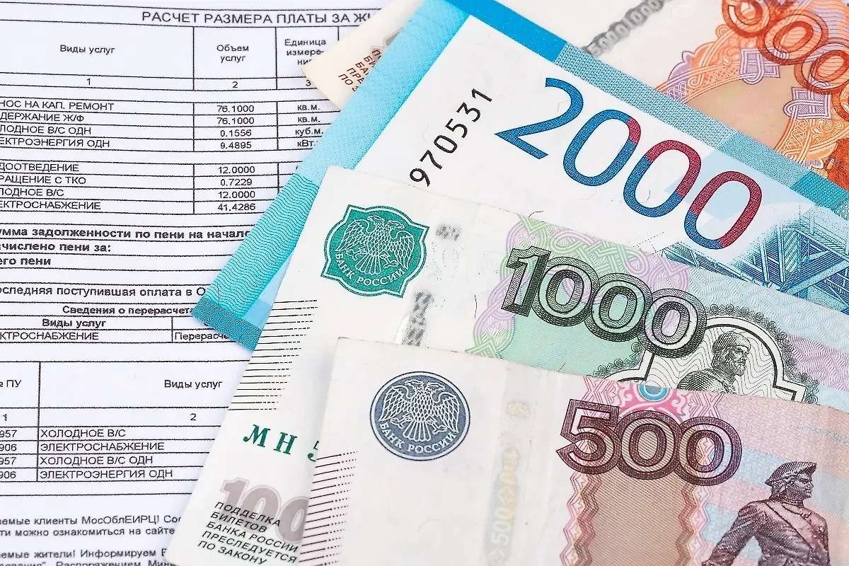 Обложка © Shutterstock / FOTODOM / SSV.Photo