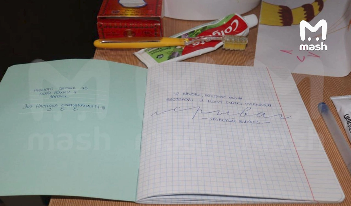 Пыточные рехабы по всей стране экстренно прячут свои нарушения на фоне рейдов. Фото © Telegrma / Mash