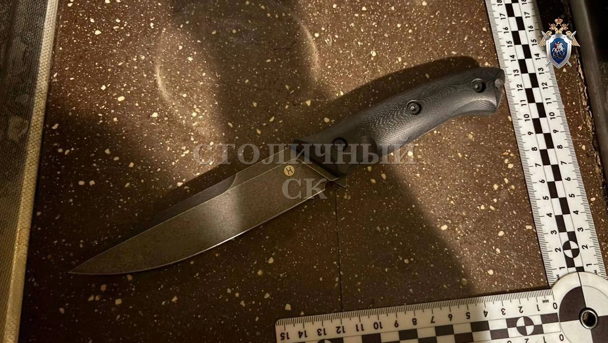 Орудие убийства. Фото © Telegram / Столичный СК