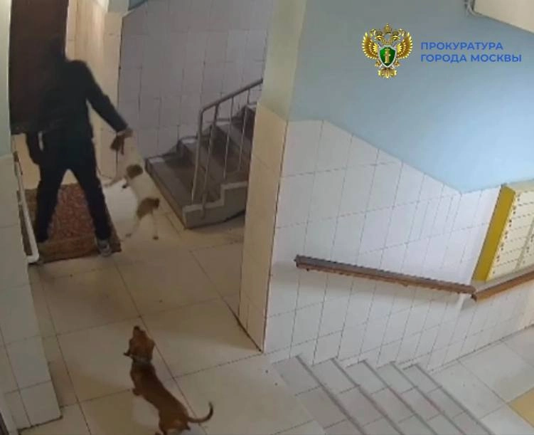 Обложка © Telegram / Прокуратура Москвы