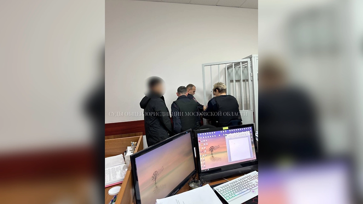 В Подмосковье суд арестовал 3 иностранцев за планирование теракта. Обложка © Telegram /Суды общей юрисдикции Московской области
