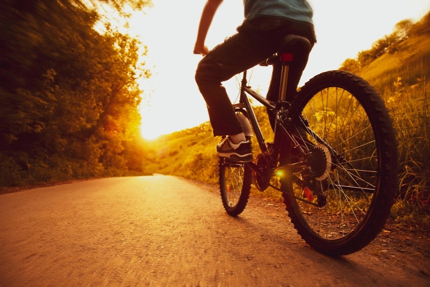 Обложка © Shutterstock / FOTODOM / Chepko Danil Vital