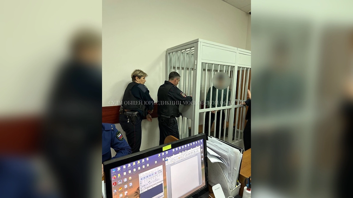 В Подмосковье суд арестовал 3 иностранцев за планирование теракта. Фото © Telegram /Суды общей юрисдикции Московской области