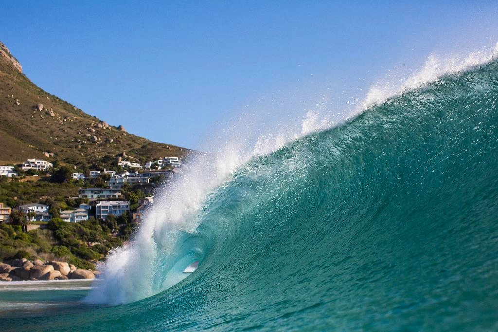 Обложка © Shuttersrtock / FOTODOM / Ryan Janssens