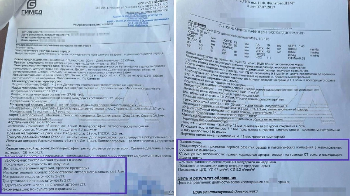 Обложка © Telegram / BAZA