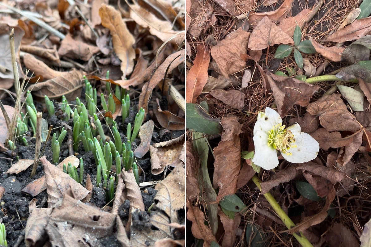 Обложка © Telegram/ Artem Parshin