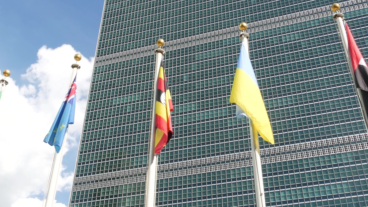 Обложка © Shutterstock / FOTODOM / Dogora Sun