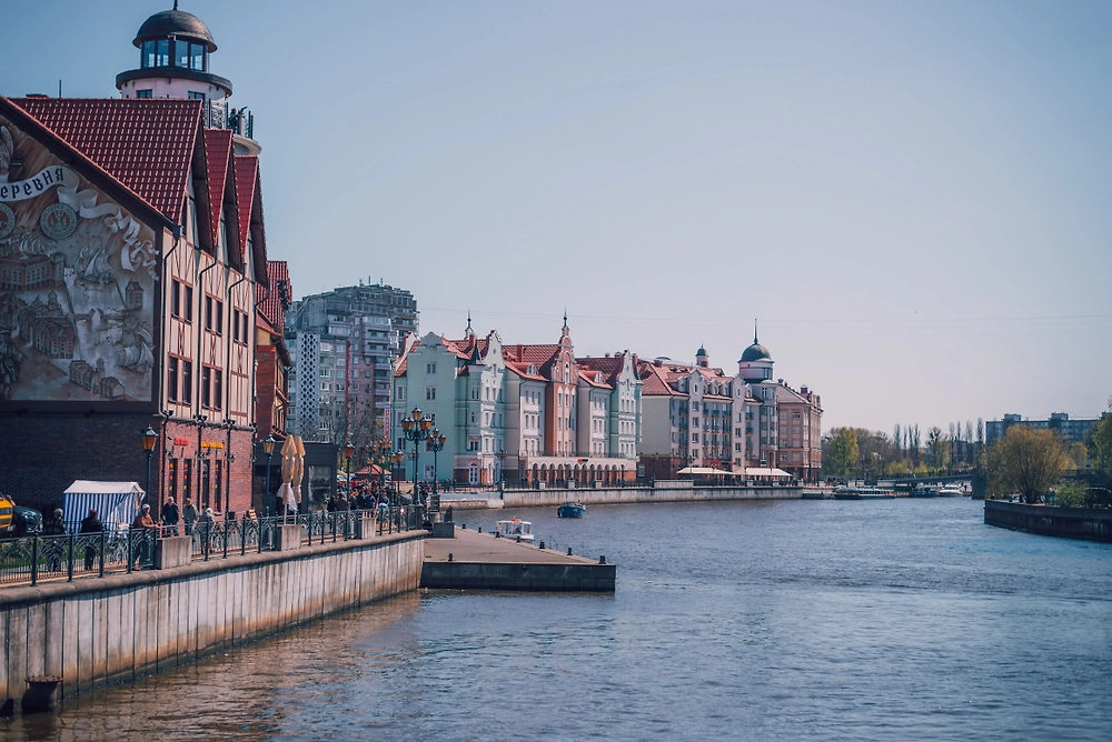 Обложка © Shutterstock / FOTODOM / teimy_photos