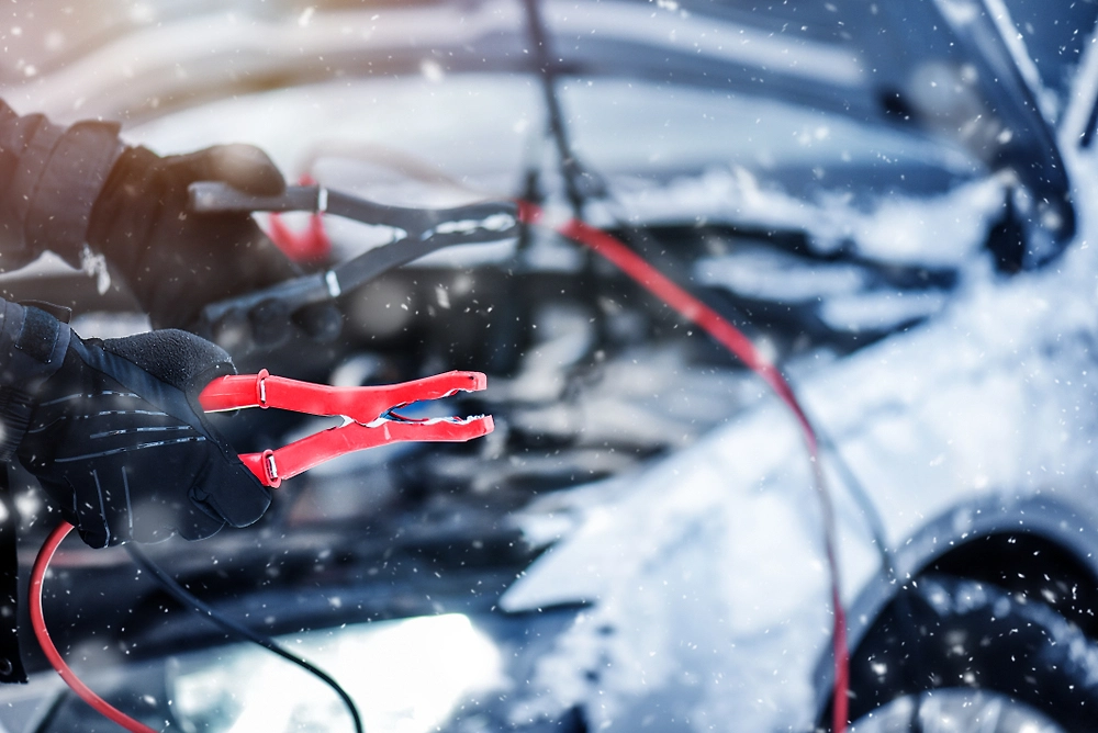 Обложка © Shutterstock / FOTODOM / krasulya