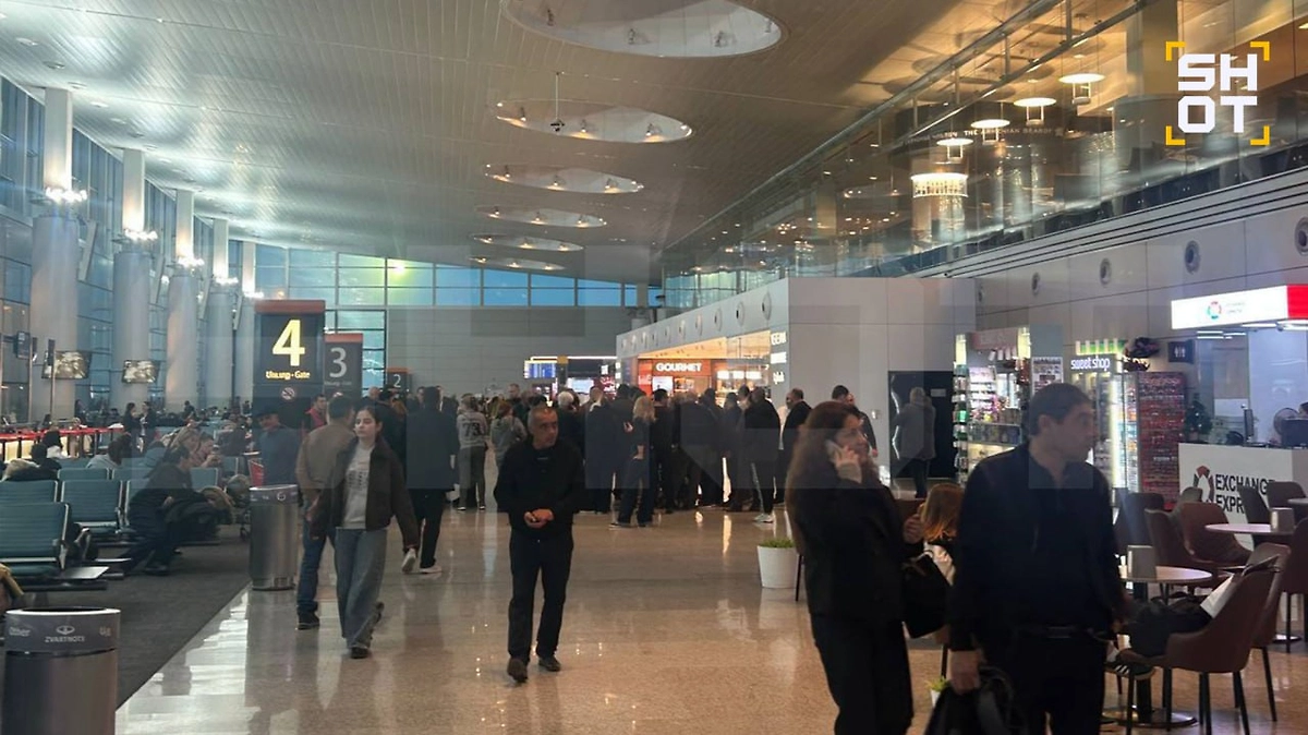 Обложка © Telegram/ SHOT