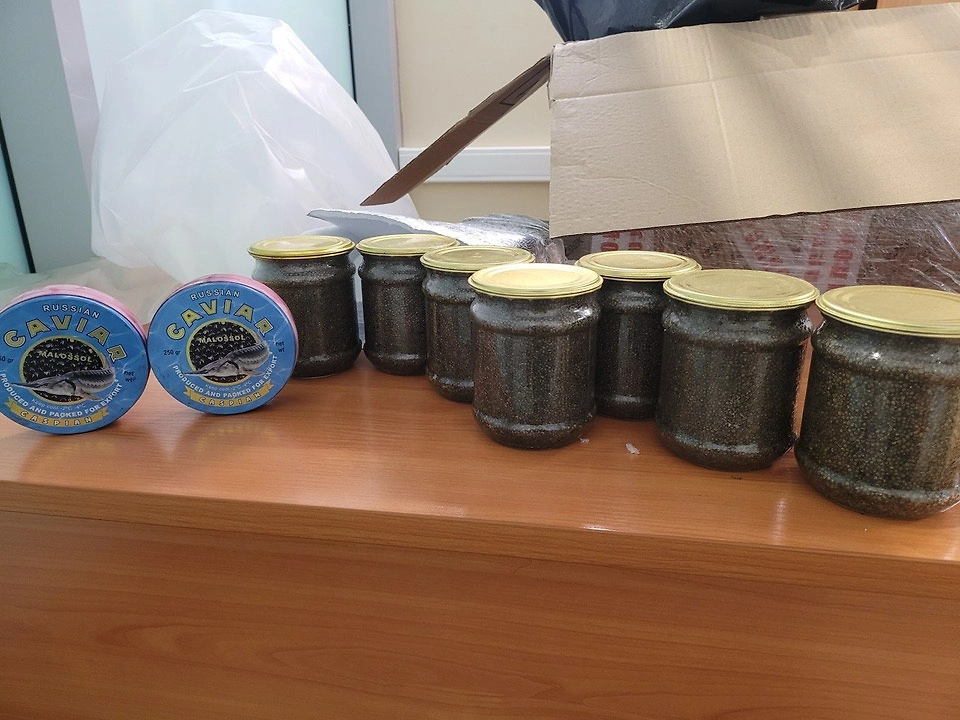 Обложка © Пресс-служба Домодедовской таможни