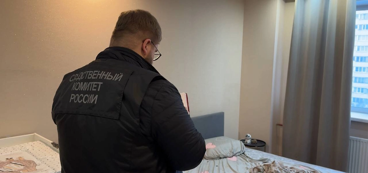 Обложка © Telegram / Питерский Следком