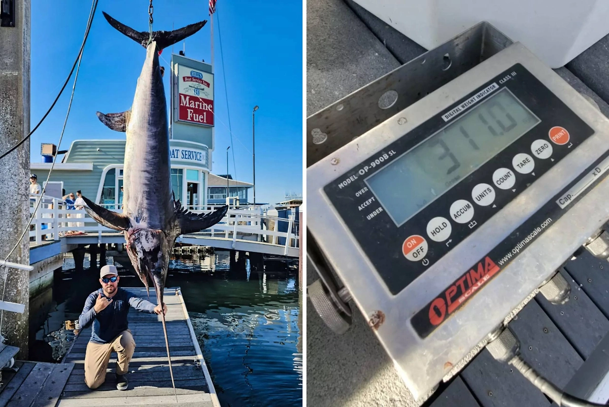 Обложка © Х / The Daily Pilot