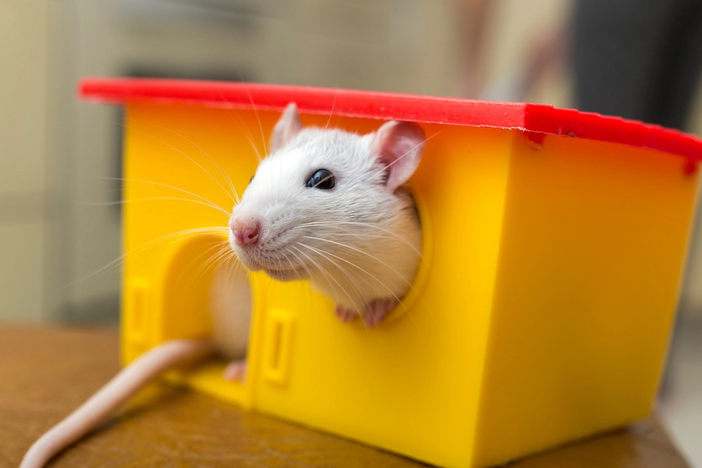 Обложка © Shutterstock / FOTODOM / Bilanol