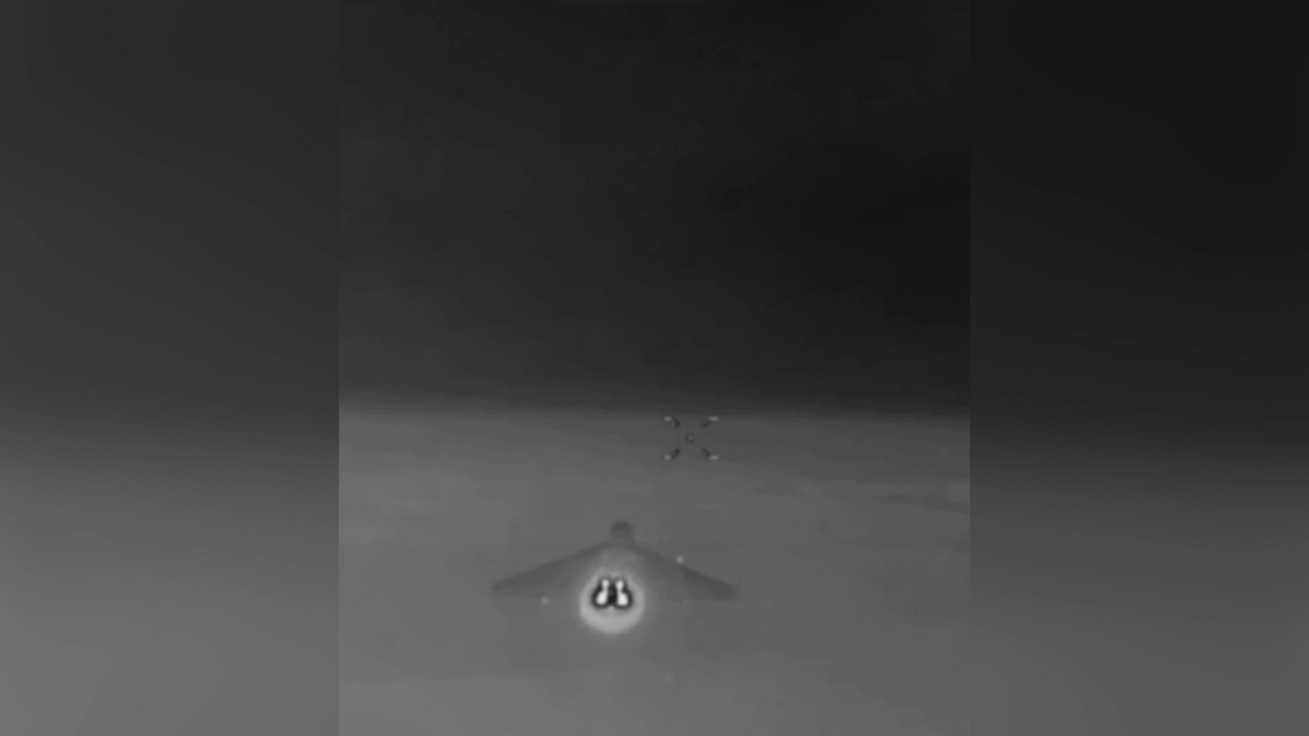 Украинский дрон заснял уникальный момент работы российской «Герани-2». Обложка © Telegram / Осведомитель