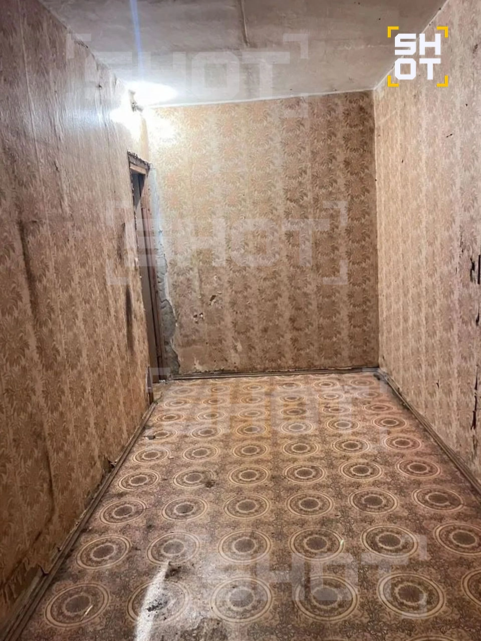 Пенсионерку выселяют из квартиры в Люберцах. Фото © SHOT