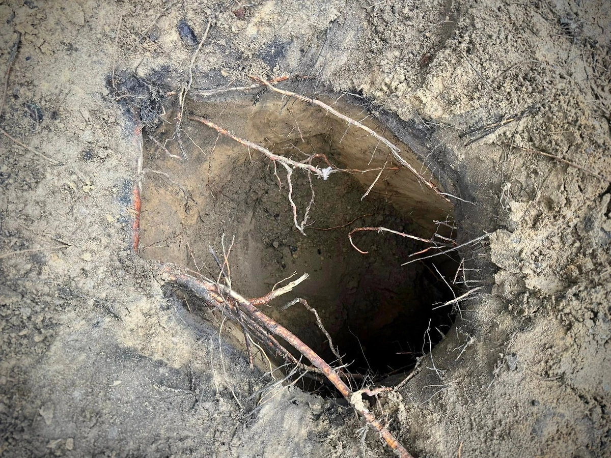 Фото © Погранслужба Польши