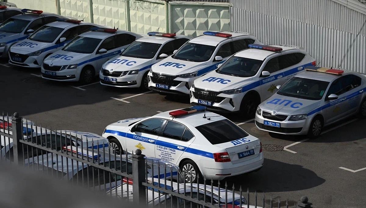 Обложка © Life.ru