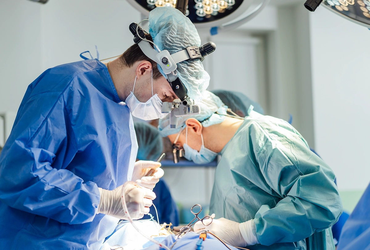 Обложка © Shutterstock / FOTODOM / Terelyuk