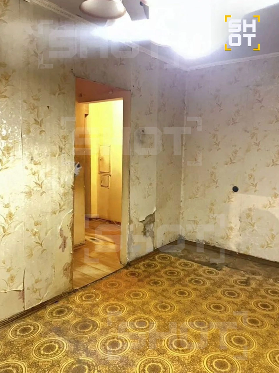 Пенсионерку выселяют из квартиры в Люберцах. Фото © SHOT