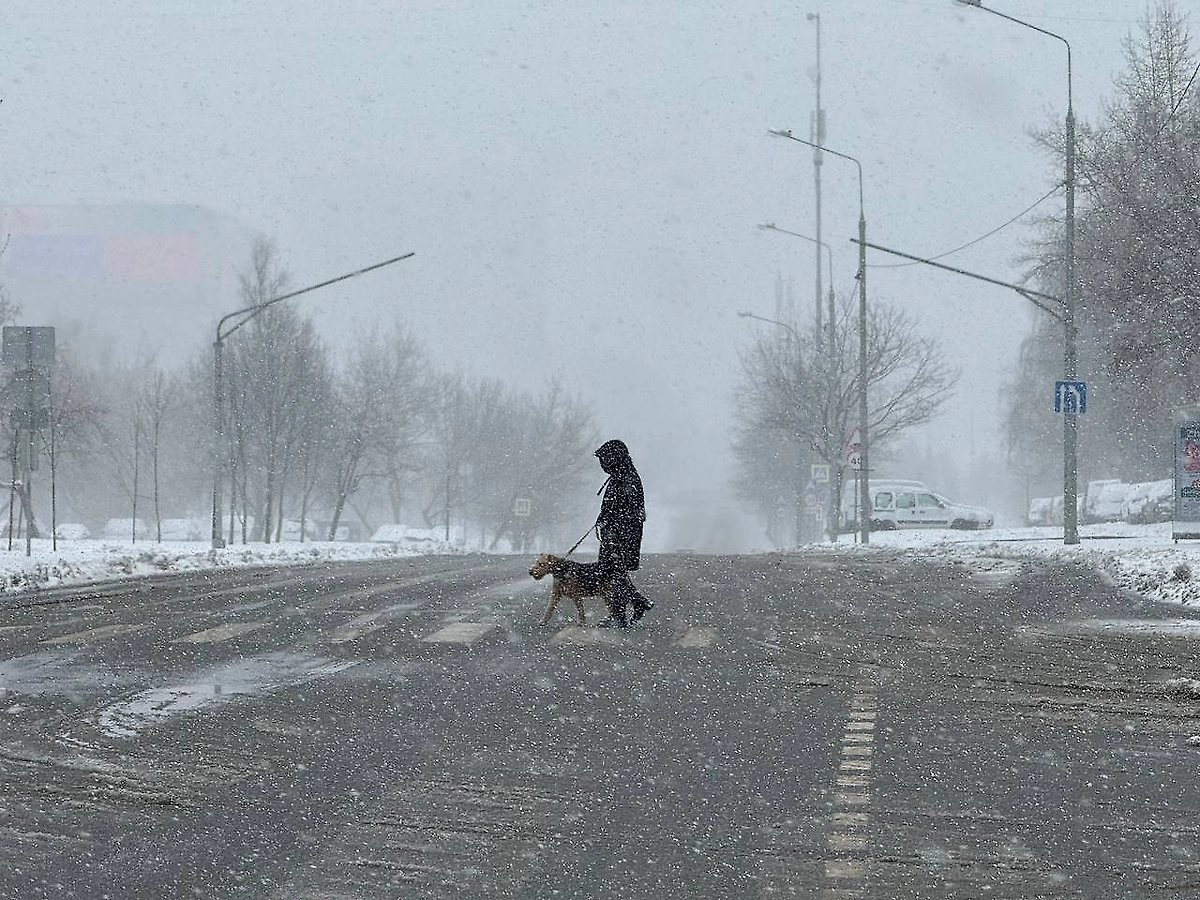 Обложка © Life.ru
