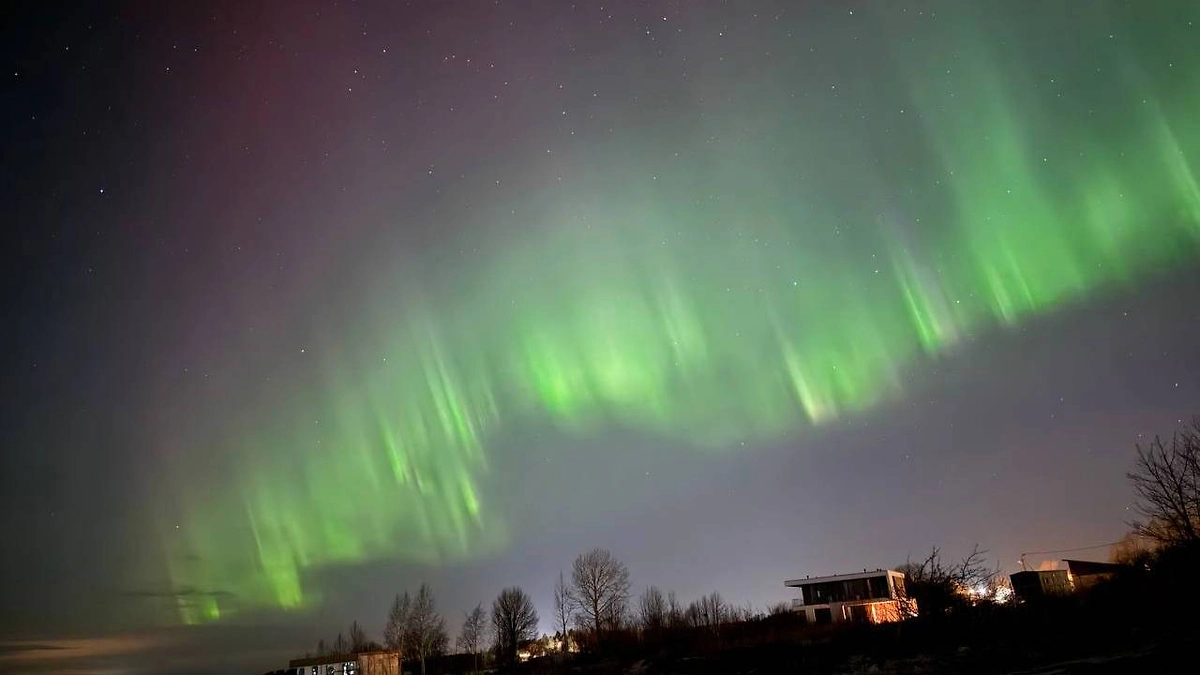 Северное сияние в небе над Ленинградской областью. Обложка © Telegram / АстроФотоБолото / vyborgfotki
