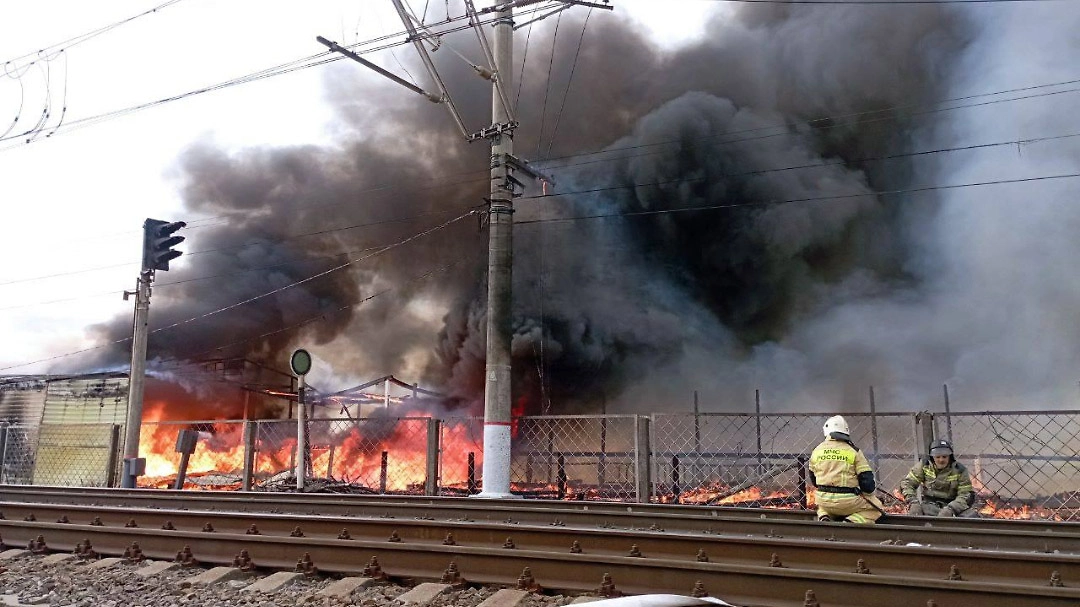 Обложка © Telegram / Кубань 24