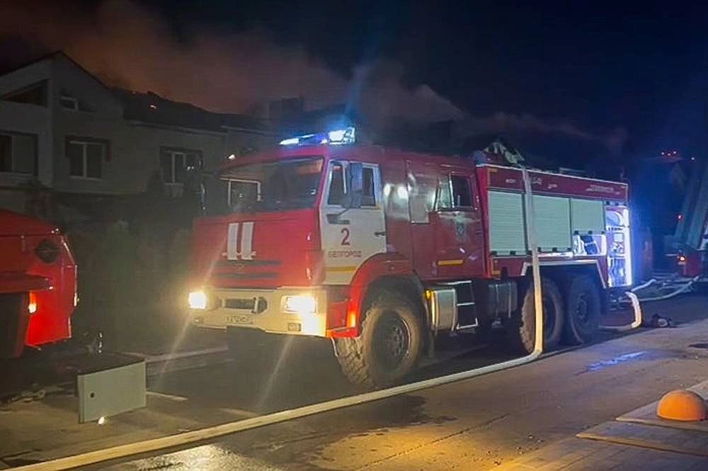 Обложка © ТАСС / Евгений Мартынов