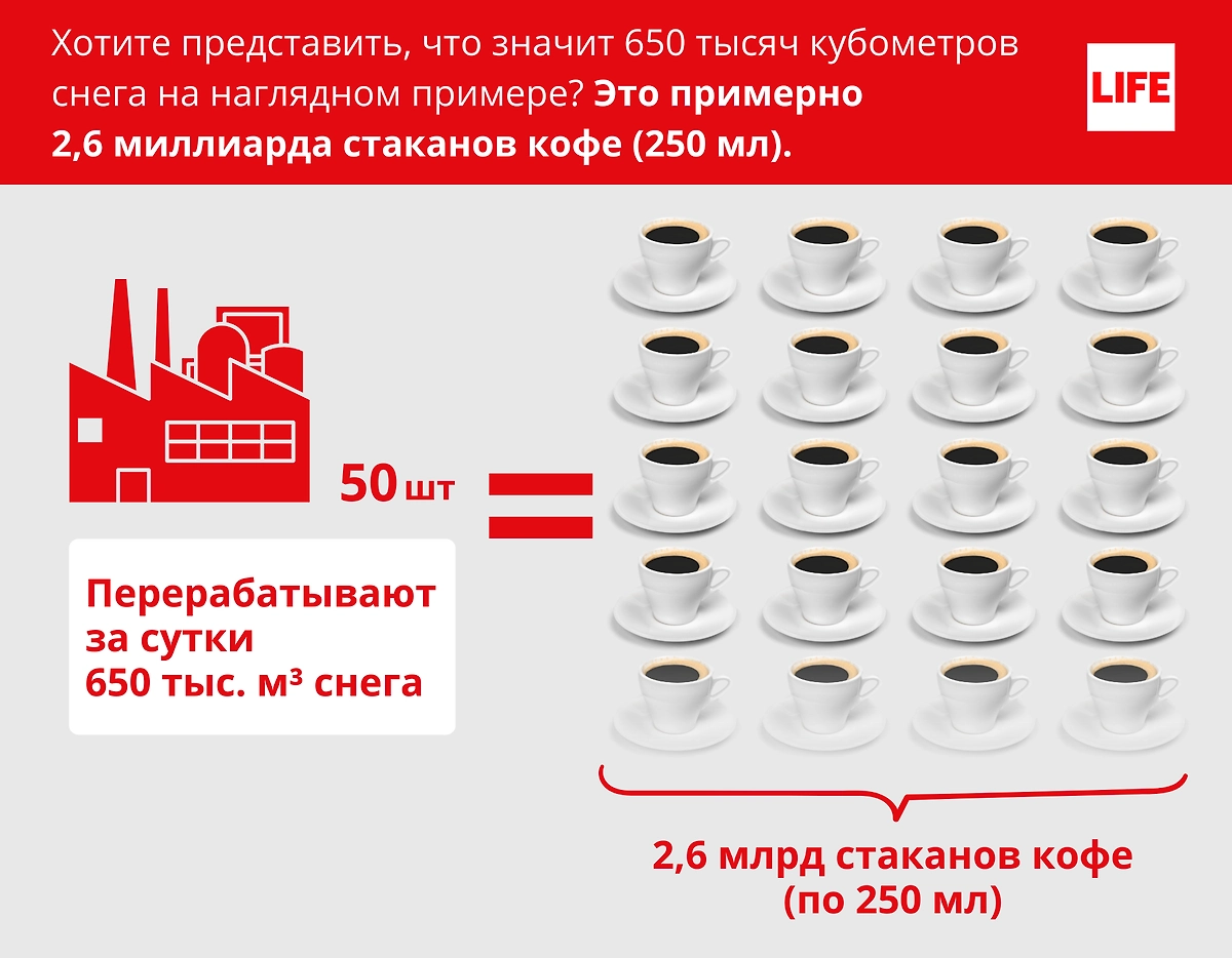 Инфографика © Life.ru