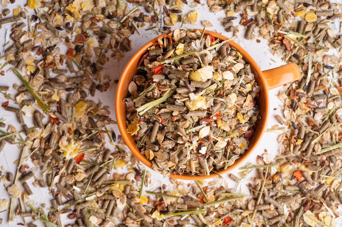 Мюсли для лошадей. Фото © Shutterstock / FOTODOM / anakondasp