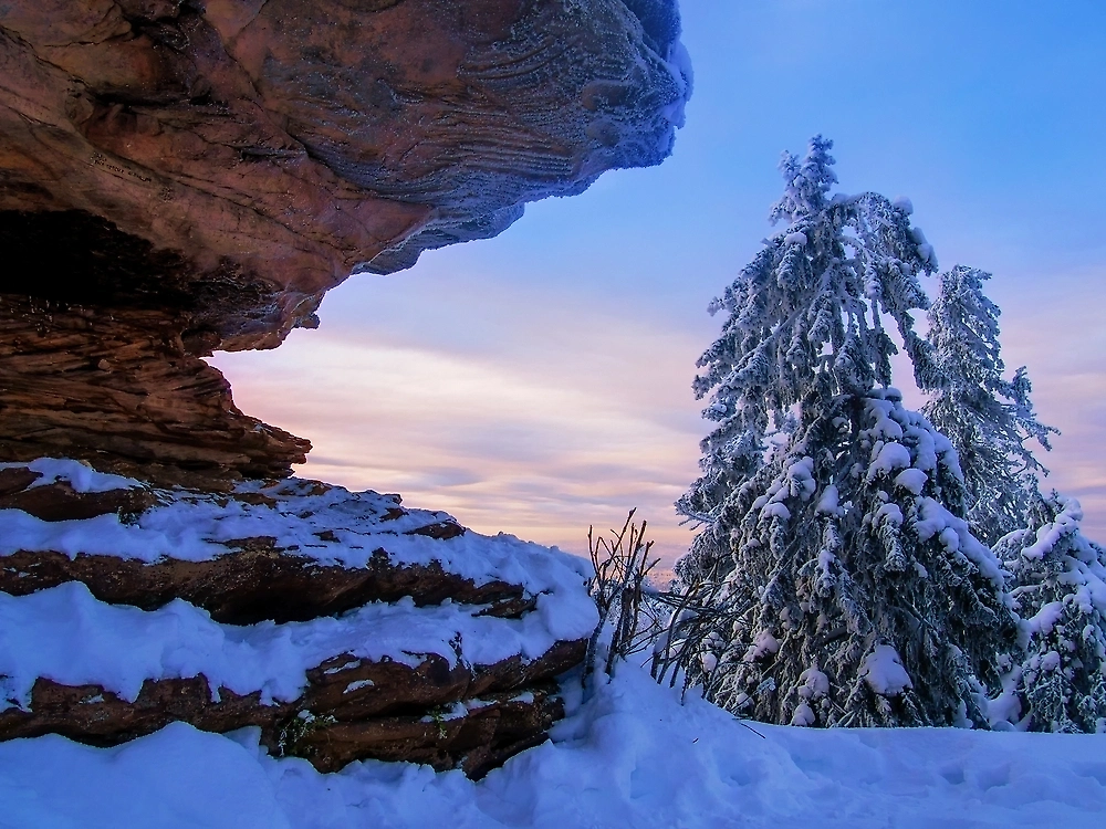 Обложка © Shutterstock / FOTODOM / AndreyOzhegov