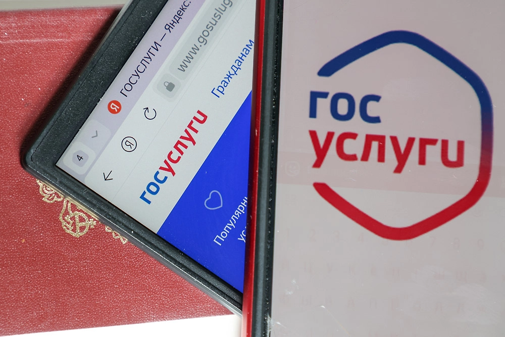 Как узнать размер своей задолженности на «Госуслугах». Фото © ТАСС / Алексей Белкин / NEWS.ru