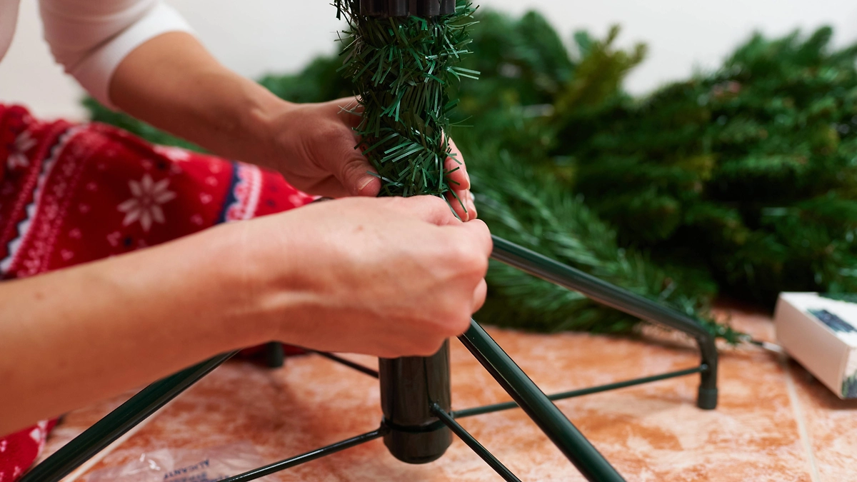 Правильная дата для уборки ёлки, чтобы не потерять деньги. Фото © Shutterstock / FOTODOM / Hassel Stock