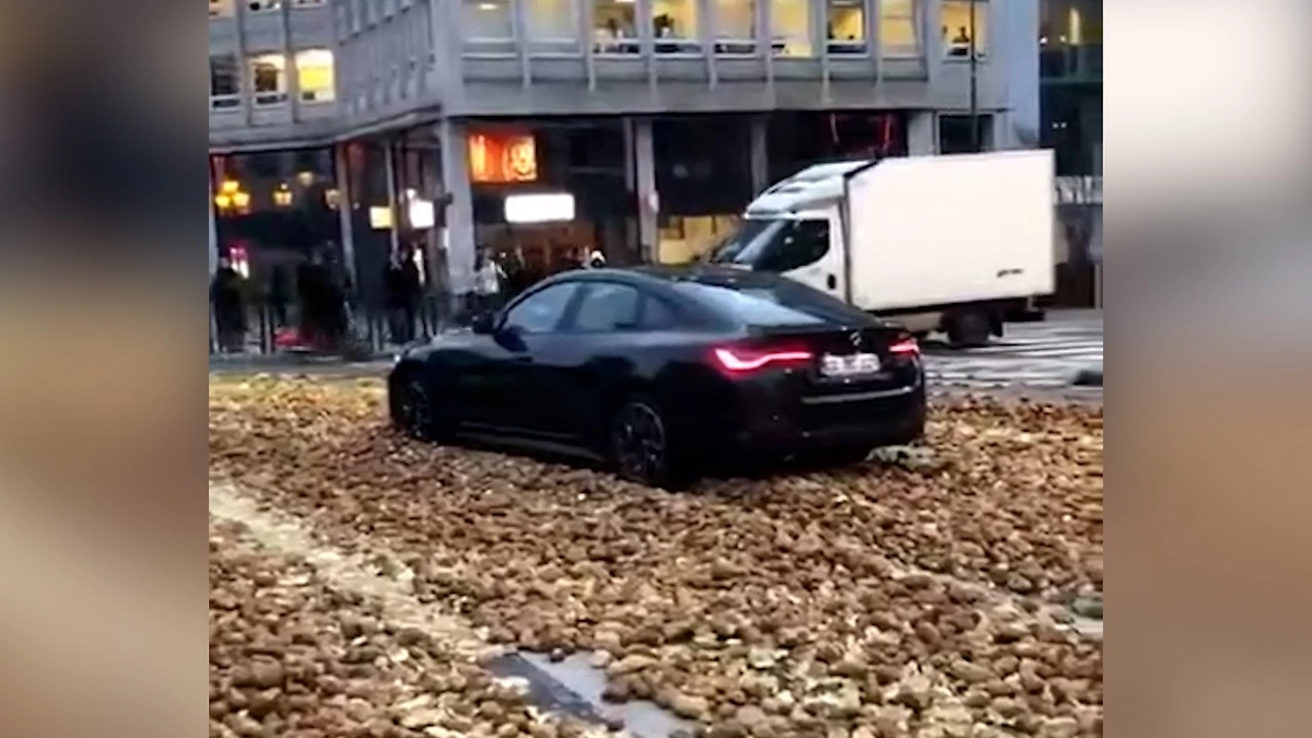 Обложка © X / Aleksbrz11