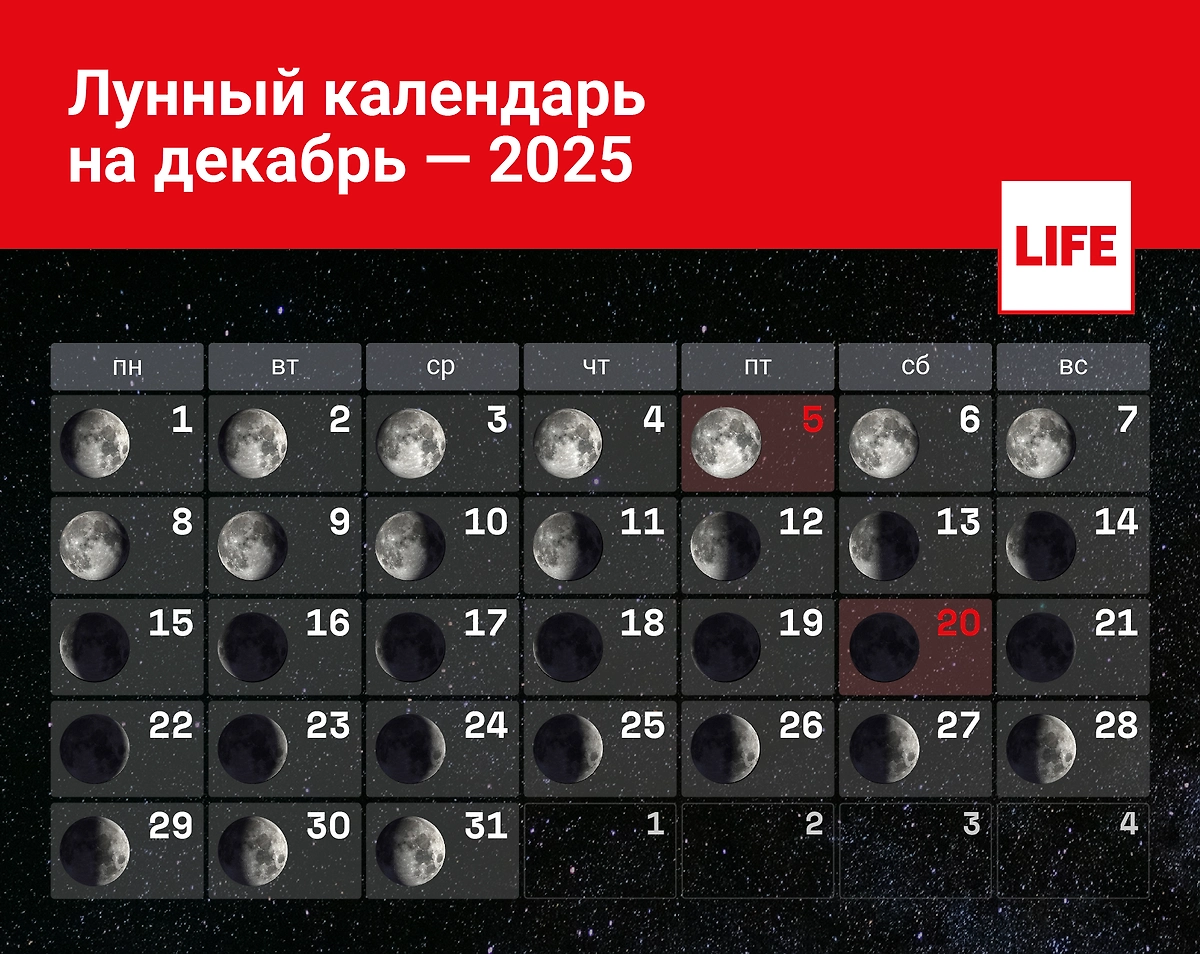 Лунный календарь на декабрь. Полнолуние, новолуние и так далее. Какие фазы Луны будут в декабре 2025 года и когда? Инфографика © Life.ru