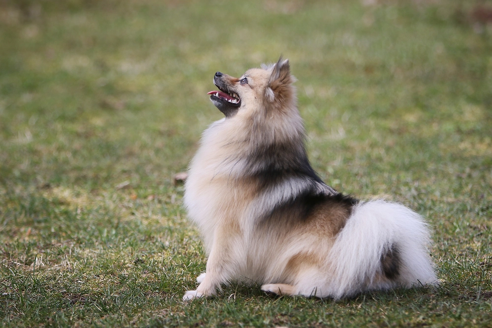 Обложка © Shutterstock / FOTODOM /Zita Ile