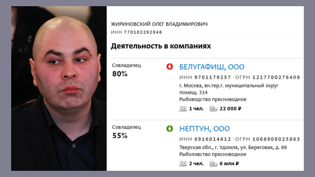 Фото © ТАСС / Сергей Савостьянов, © СПАРК