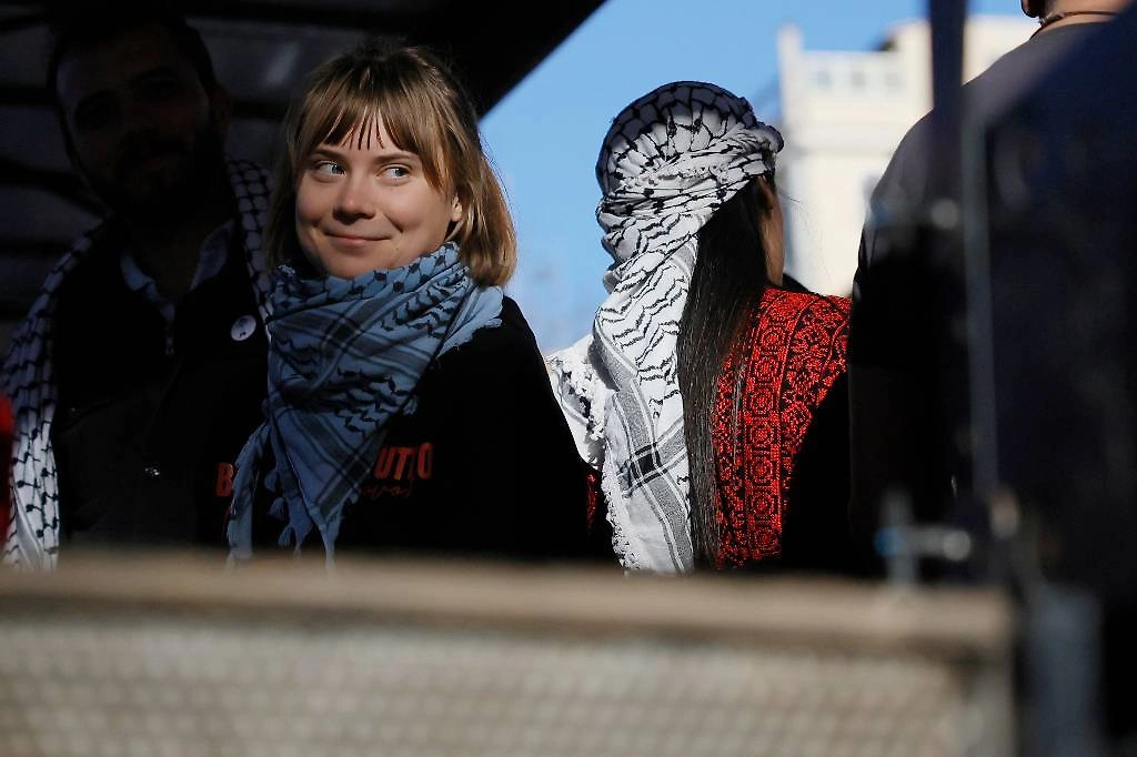 Грета Тунберг. Обложка © ТАСС / AP / Cecilia Fabiano