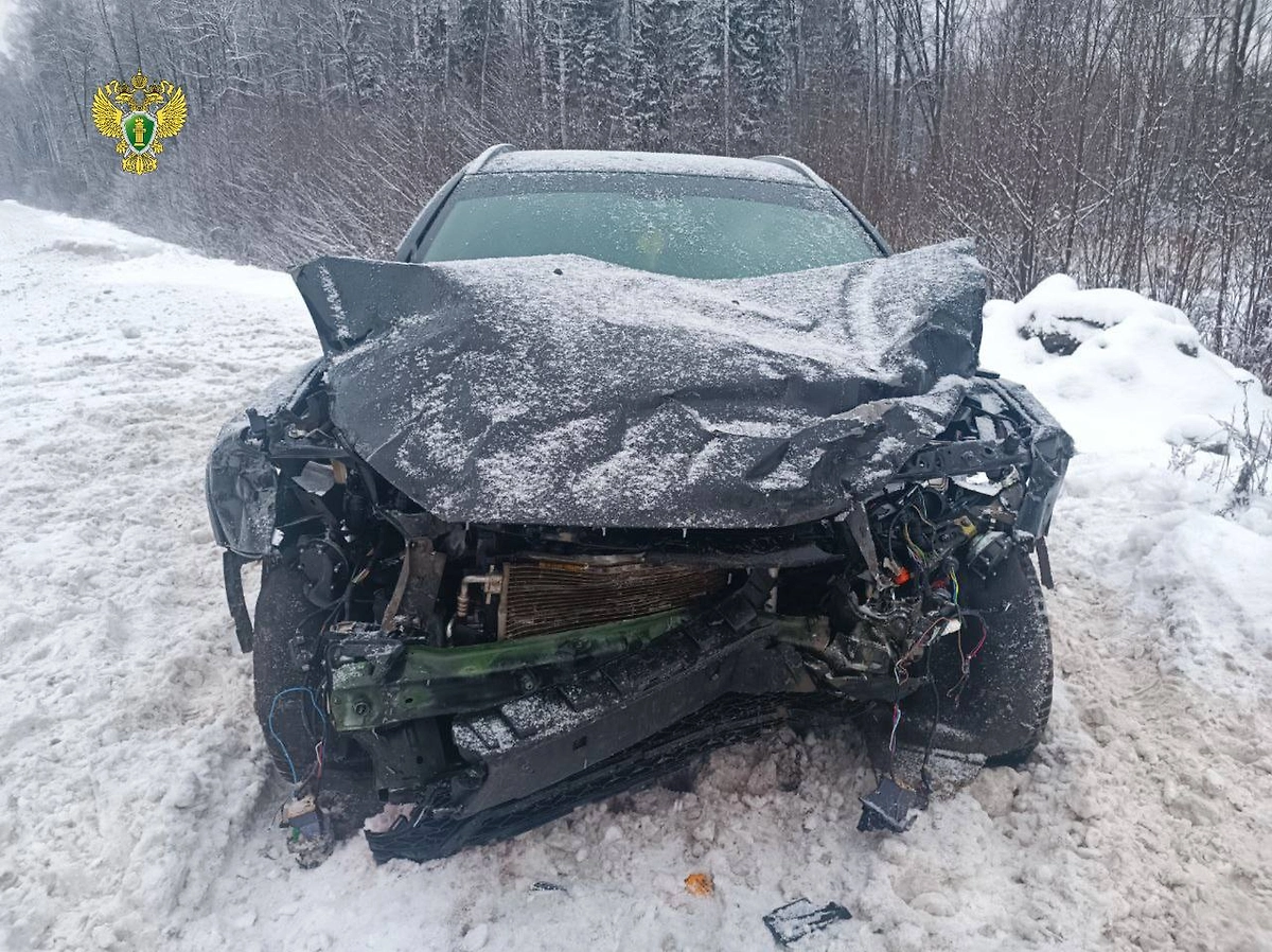 Последствия смертельного ДТП. © Telegram / Прокуратура Нижегородской области