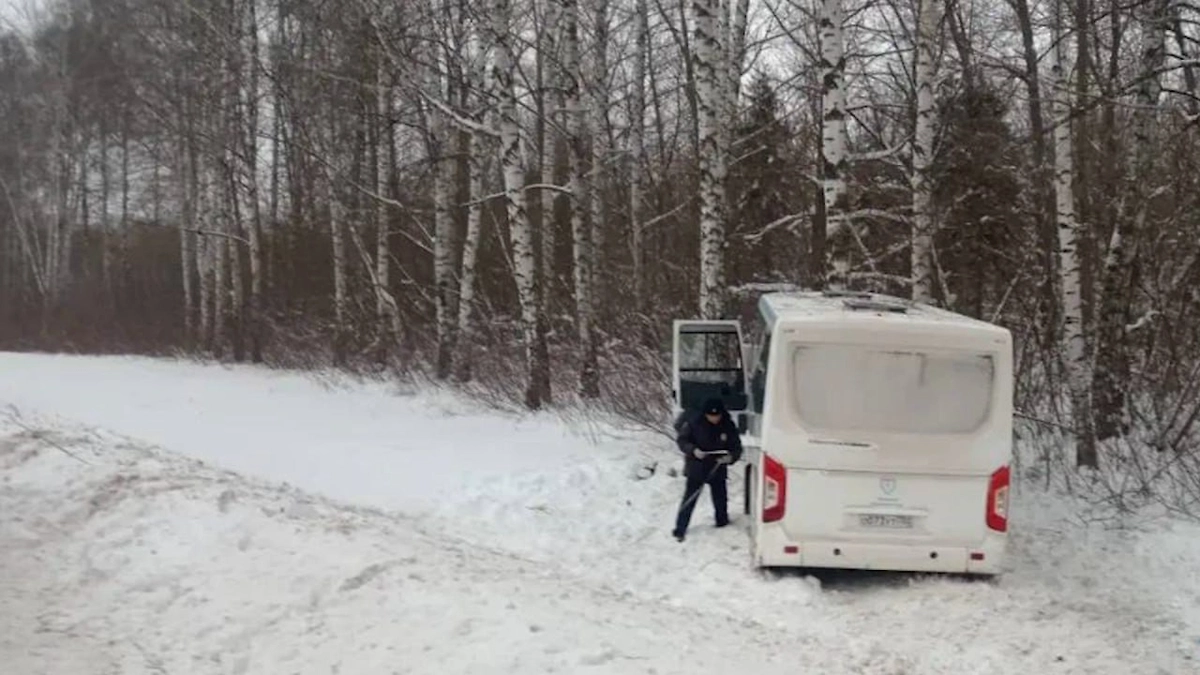 Автобус с пассажирами вылетел в кювет и протаранил дерево в Салавате. Фото © Telegram / Госавтоинспекция Башкортостана