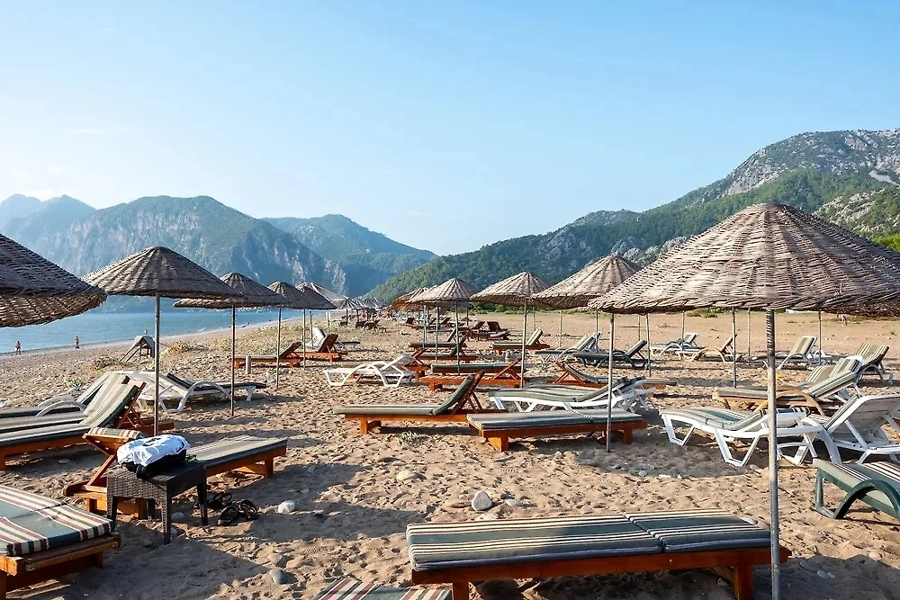 Обложка © Shutterstock / FOTODOM / M.Nergiz