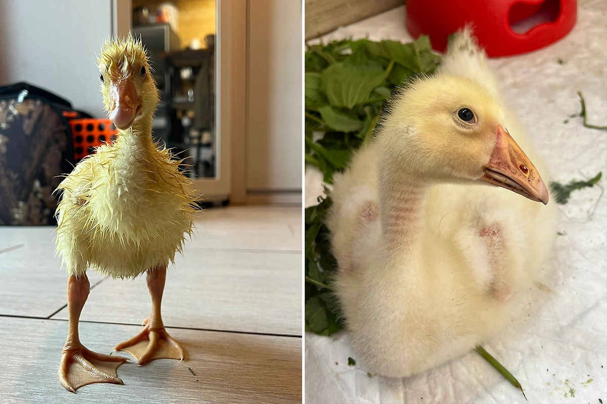 Фото © Из личного архива Виктории 