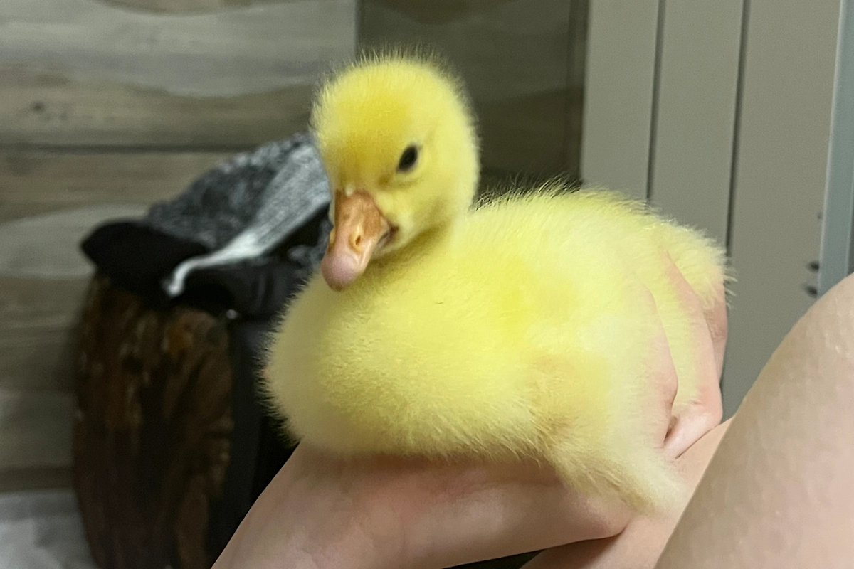 Фото © Из личного архива Виктории