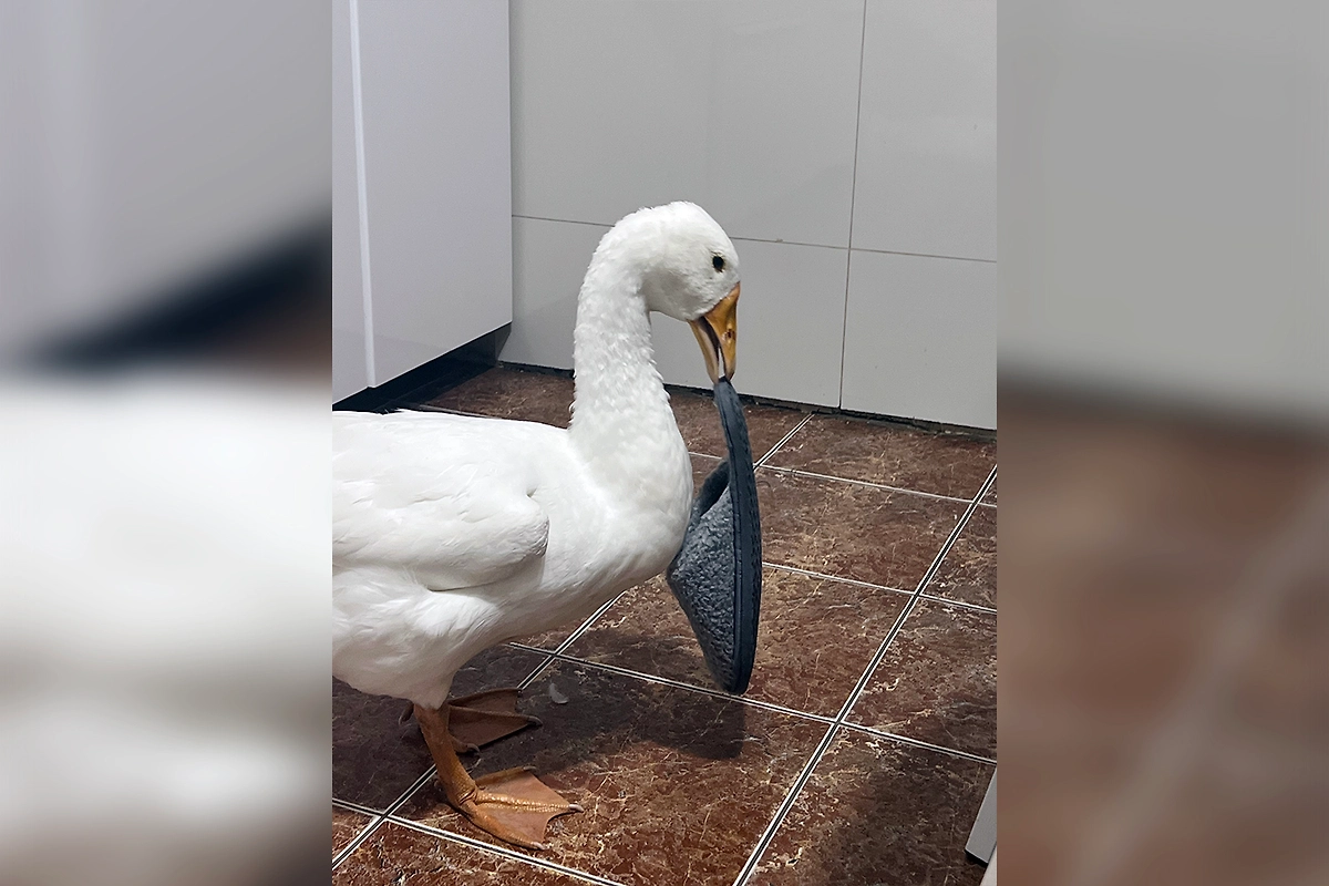 Фото © Из личного архива Виктории