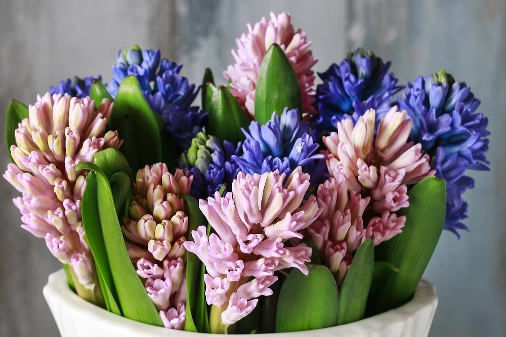 Какие цветы могут оказаться ядовитыми в букете? Фото © Shutterstock / FOTODOM / Agnes Kantaruk