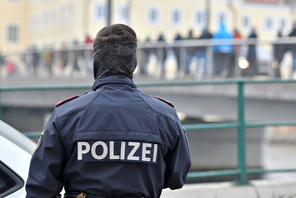 Обложка © Shutterstock / FOTODOM / Spitzi-Foto