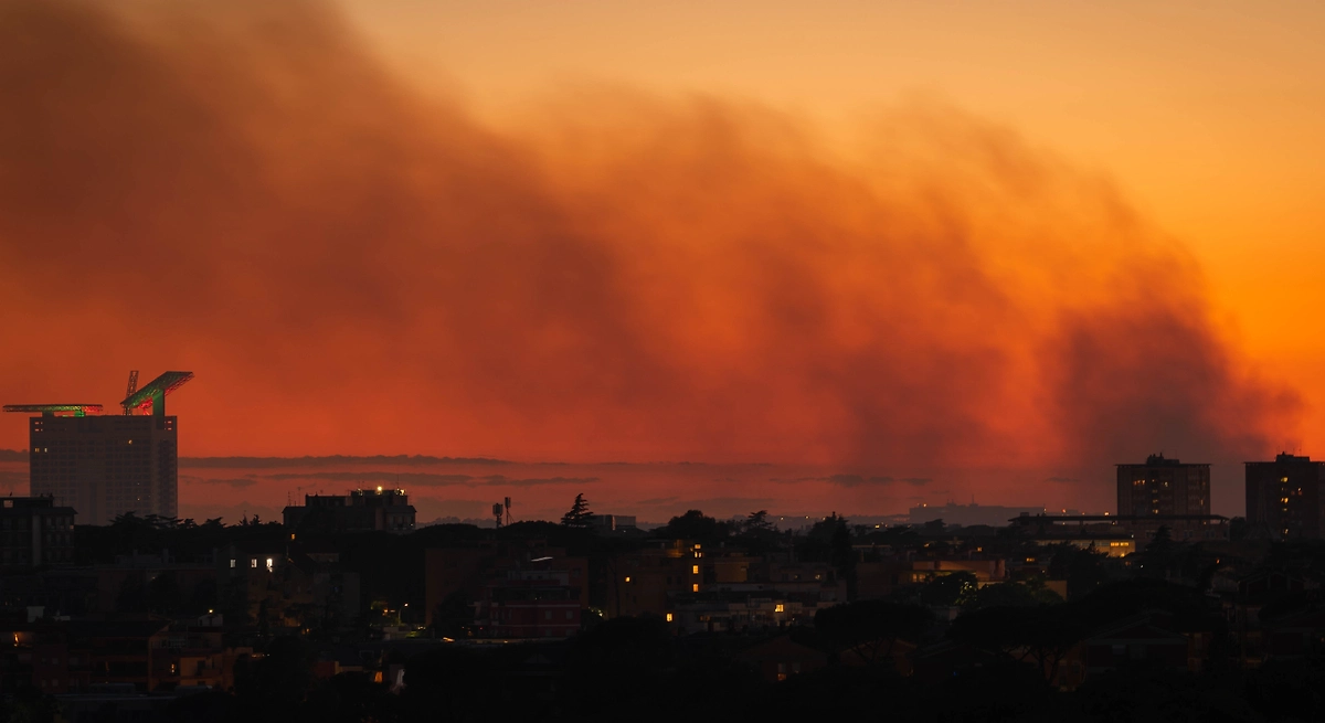 Обложка © Shutterstock / FOTODOM / siete_vidas