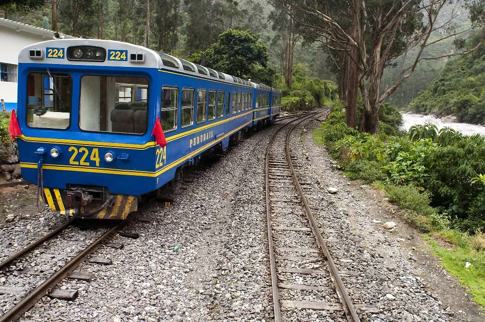 Обложка © ТАСС / dpa / Sergi Reboredo