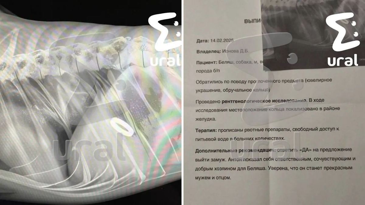 Самый романтичный снимок. Фото © Telegram/Ural Mash