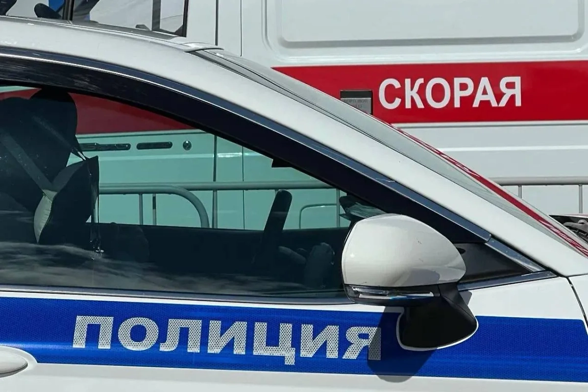 Обложка © Life.ru